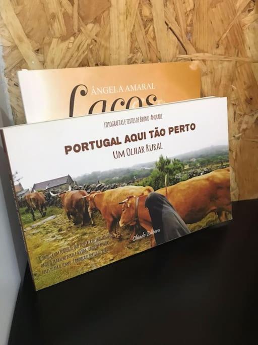 Rustico T1 No Centro Cidade Guarda Exteriér fotografie